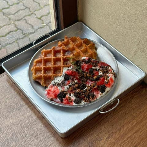 미스틱 래빗 럭키백 사진