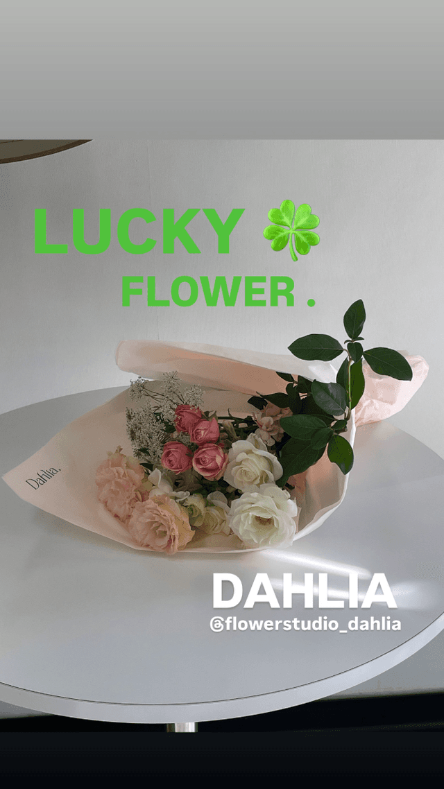 💐꽃집💐 다알리아 럭키백 사진