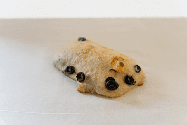 오가토 럭키백 사진