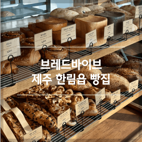 브레드바이브 럭키백 사진