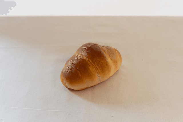 오가토 럭키백 사진