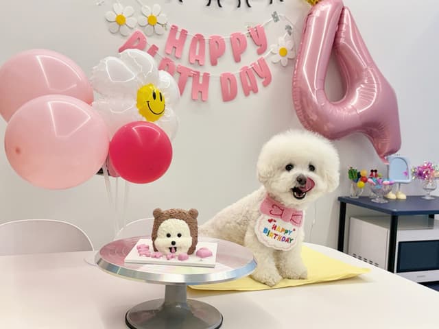 🐶강아지간식🐶 오늘뿐이개 럭키백 사진